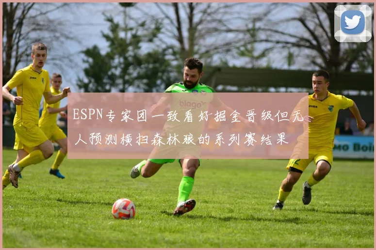 ESPN专家团一致看好掘金晋级但无人预测横扫森林狼的系列赛结果