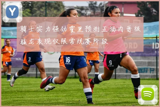 骑士实力强劲霍里预测五场内晋级猛龙表现仅限常规赛阶段